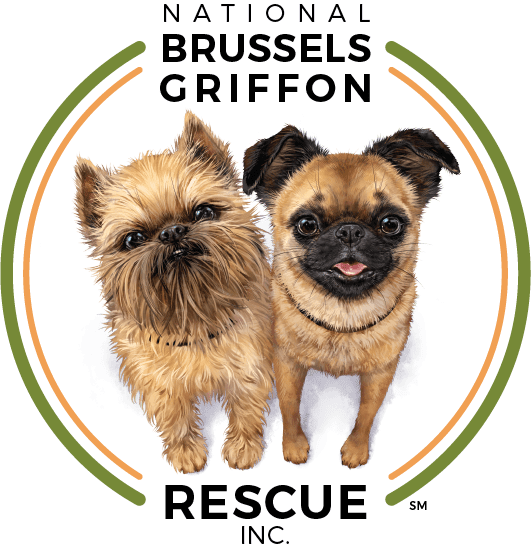 National Brussels Griffon Rescue, Inc.
