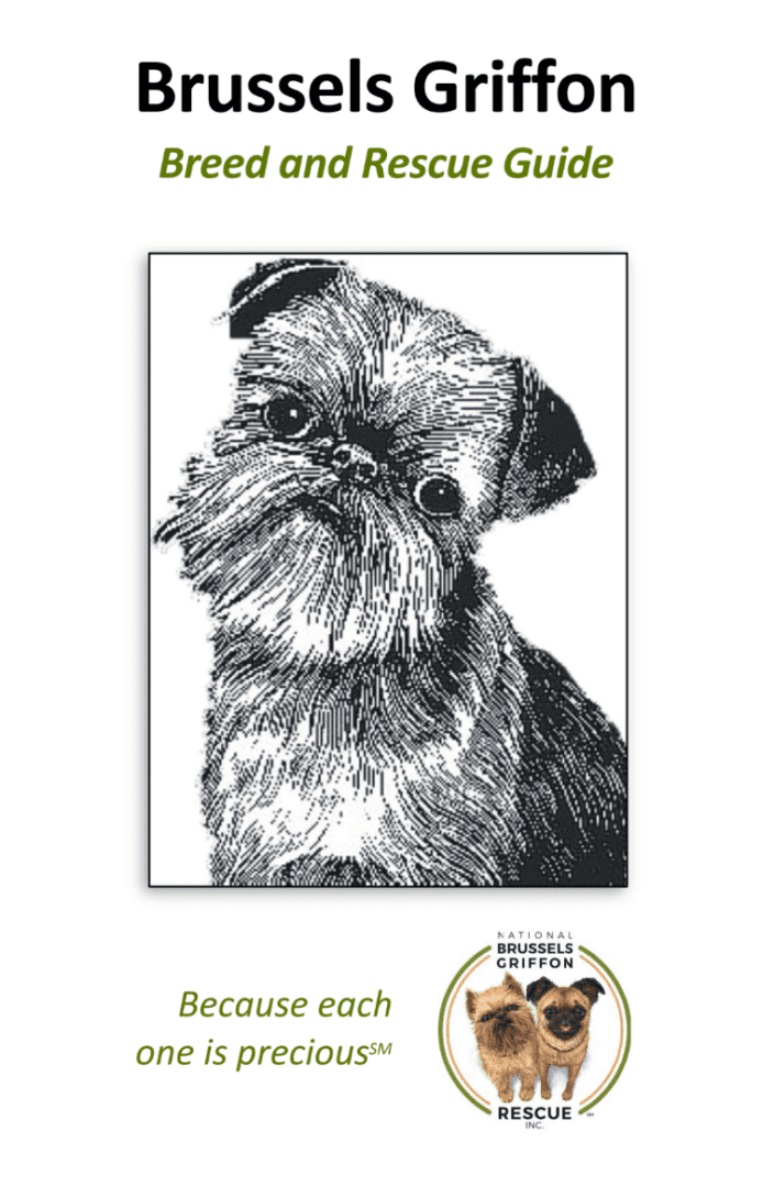 A drawing of a dog with long hair.